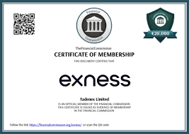 The Importance of Exness Server in Online Trading 7 The Importance of Exness Server in Online Trading 7